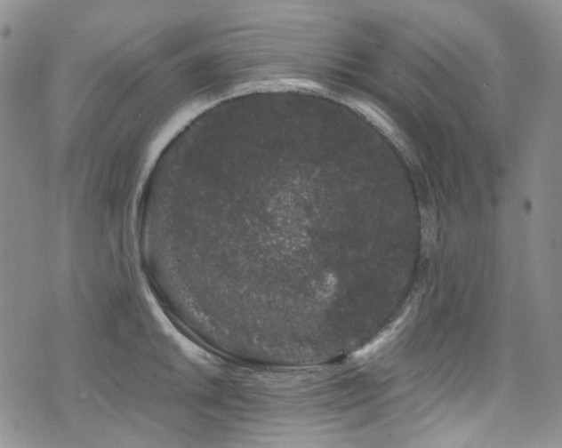 X0000072501046200607141125