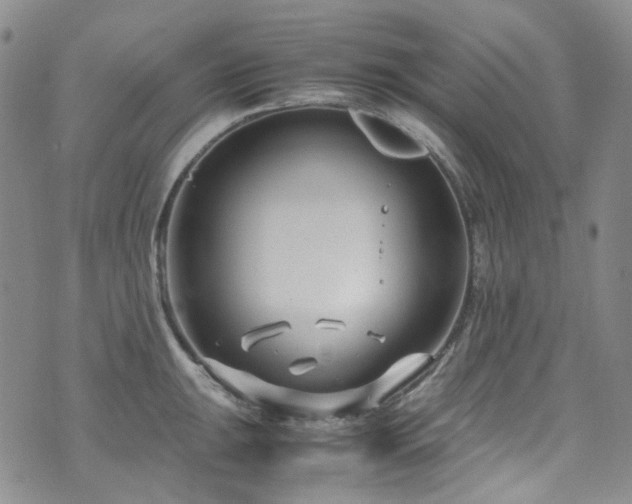 X0000072501047200607141125