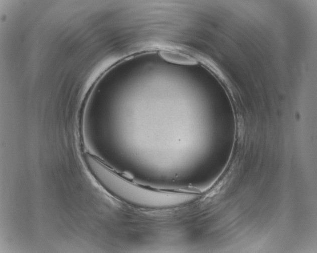 X0000072501048200607141125