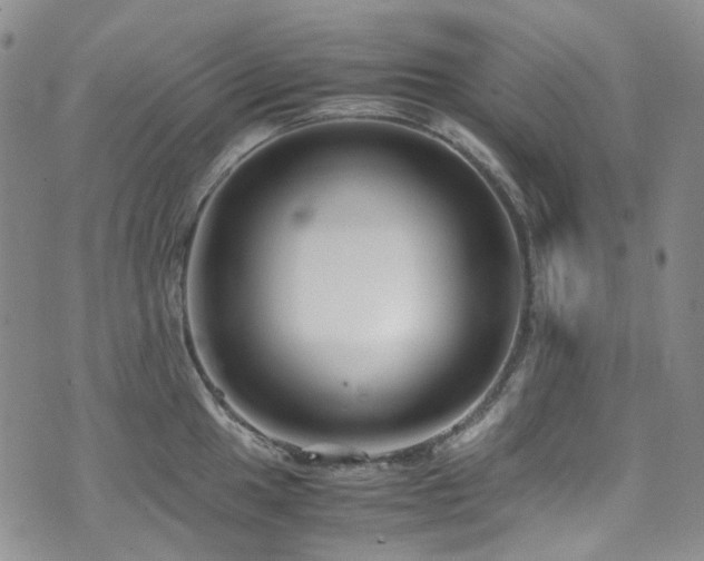 X0000072501049200607141125