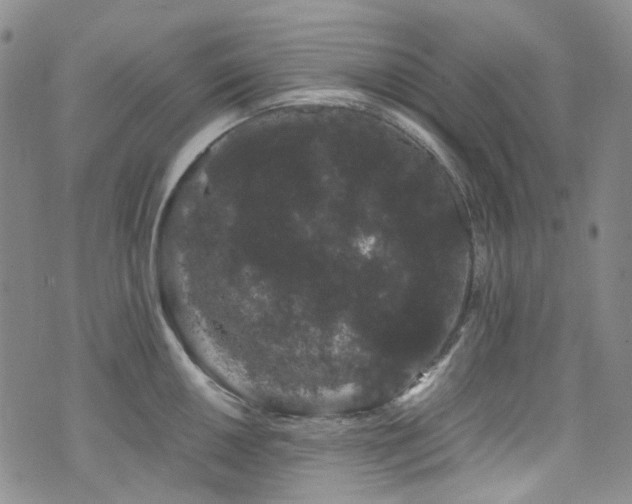 X0000072501050200607141125