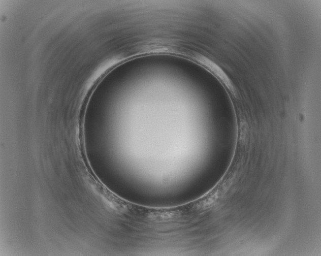 X0000072501051200607141125