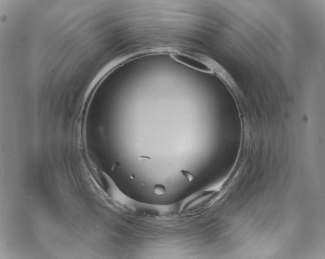 X0000072501052200607141125