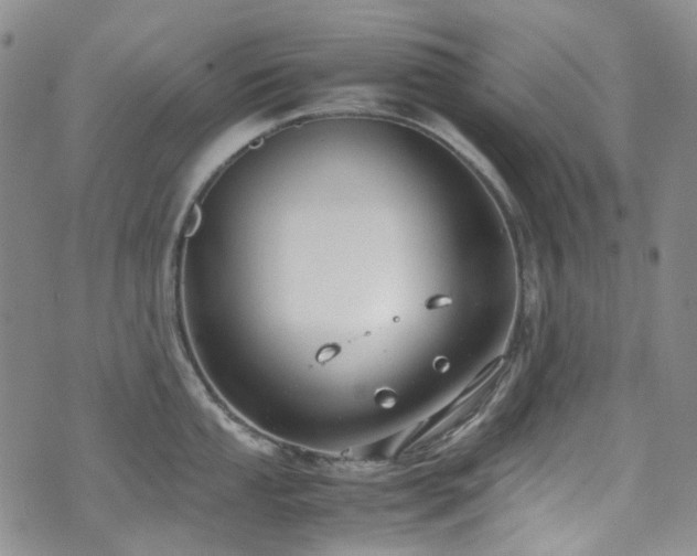 X0000072501053200607141125