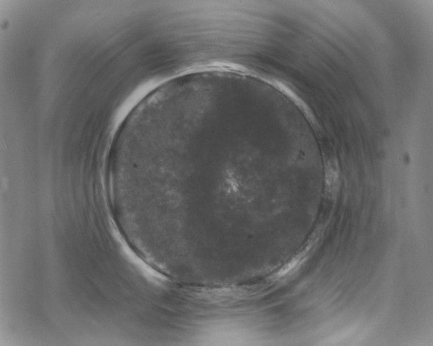 X0000072501054200607141125