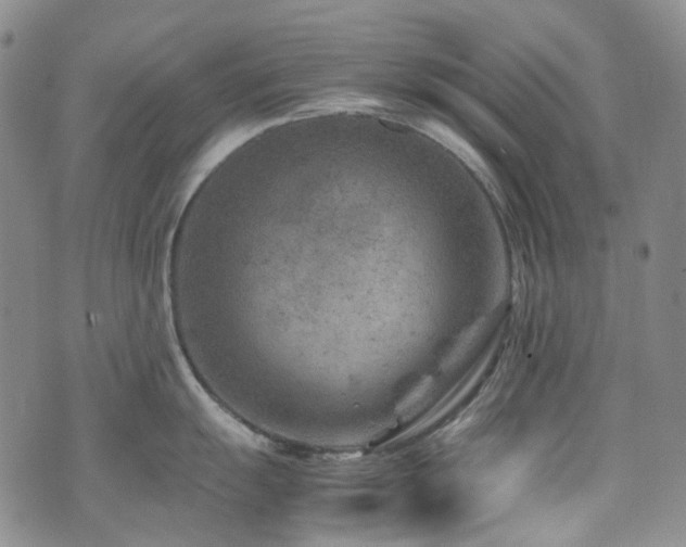 X0000072501055200607141125