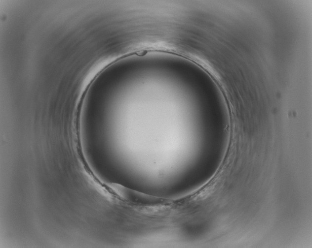 X0000072501056200607141125