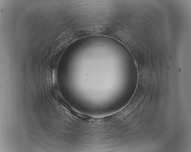 X0000072501058200607141124
