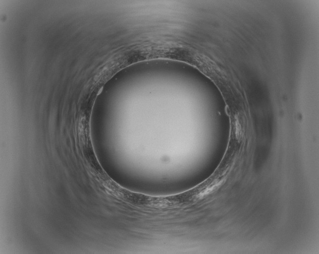 X0000072501059200607141124