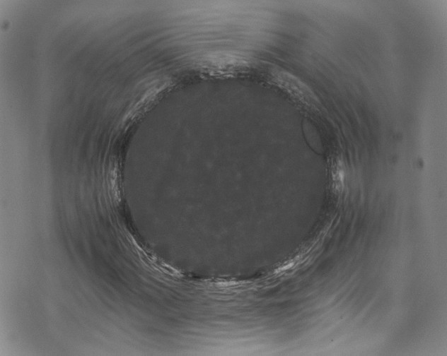 X0000072501060200607141124