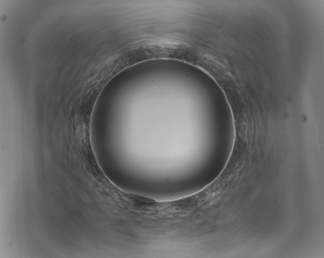 X0000072501061200607141124