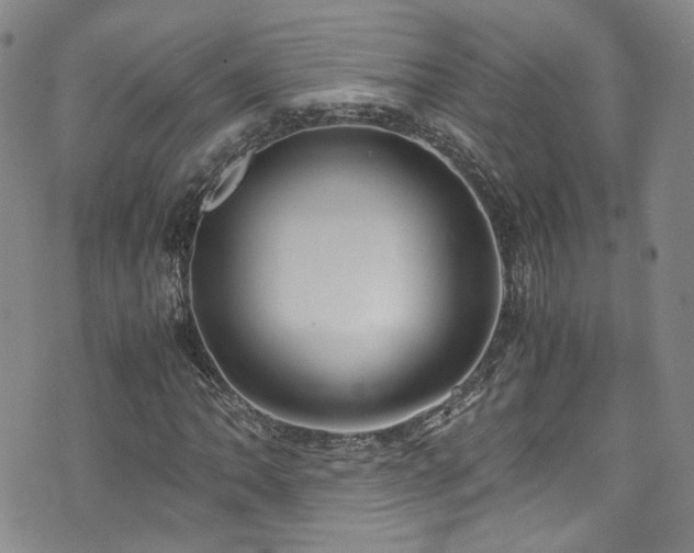 X0000072501062200607141124