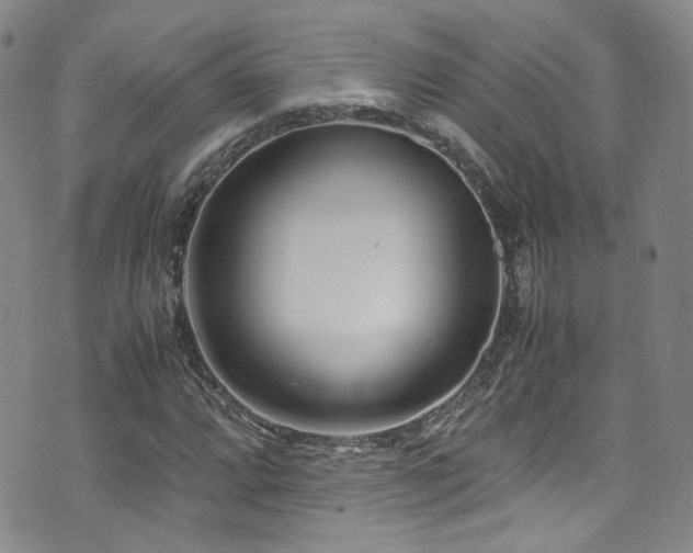 X0000072501064200607141124