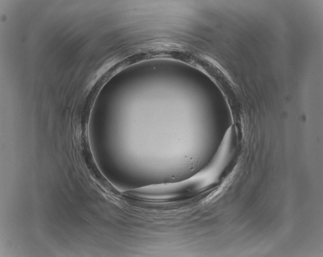 X0000072501065200607141124