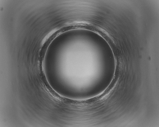 X0000072501066200607141124