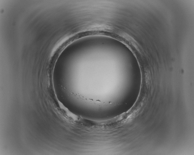 X0000072501069200607141124