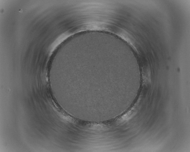 X0000072501070200607141124