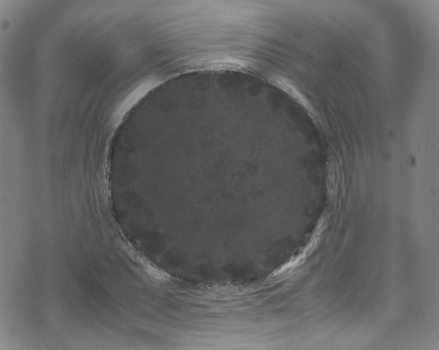 X0000072501071200607141124