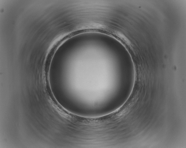 X0000072501072200607141124