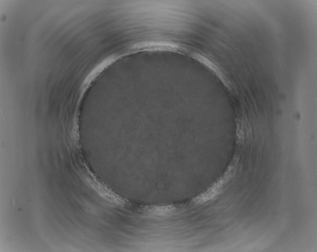 X0000072501074200607141124