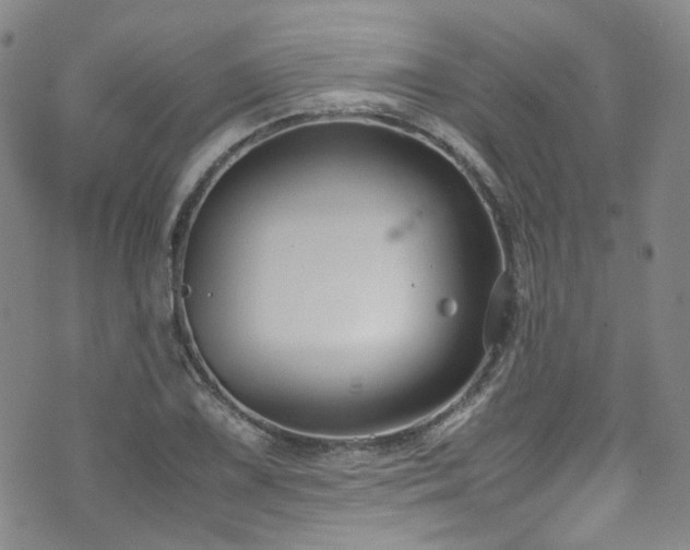 X0000072501075200607141124