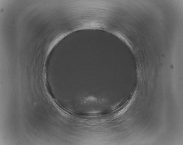 X0000072501077200607141124