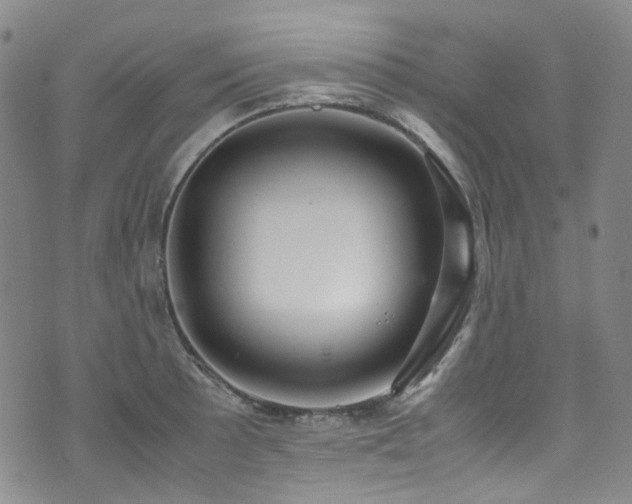 X0000072501089200607141123