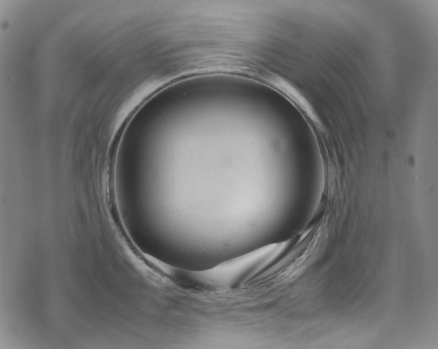 X0000072501101200607141123