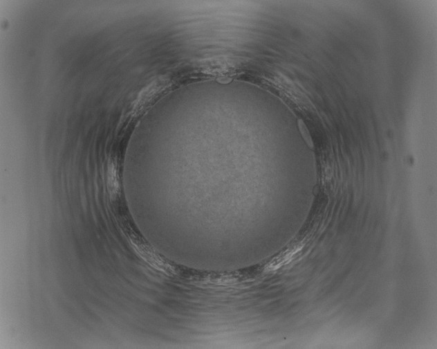 X0000072501106200607141122