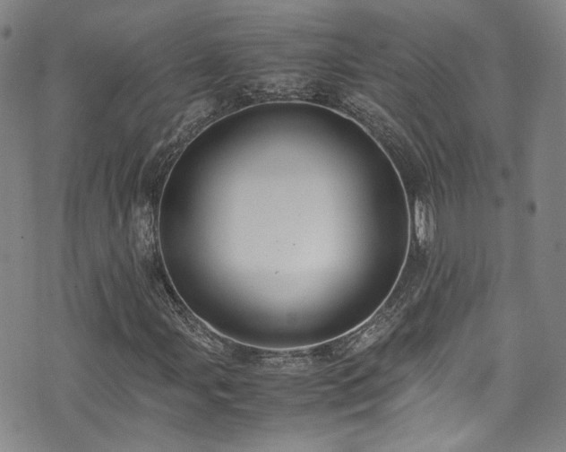 X0000072501107200607141122