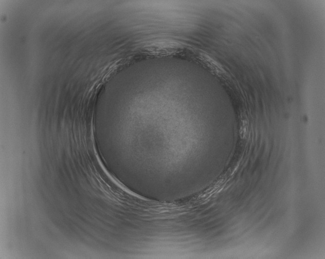 X0000072501108200607141122