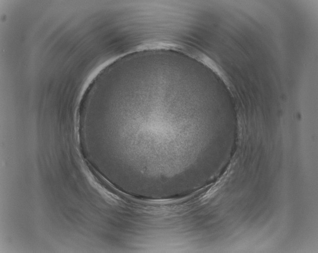 X0000072501124200607141123