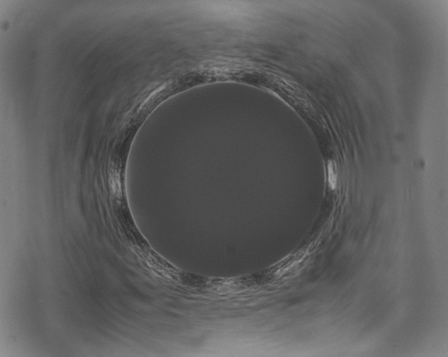 X0000072501155200607141122