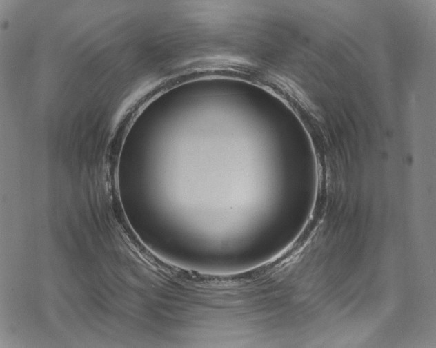 X0000072501164200607141122