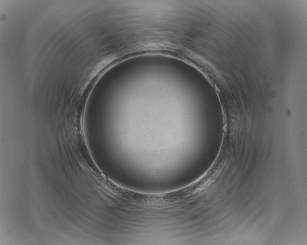 X0000072501170200607141122