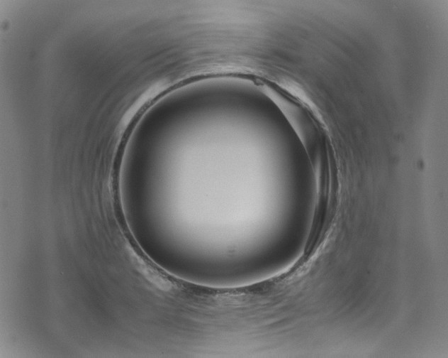 X0000072501181200607141122