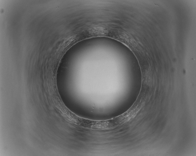 X0000072501201200607141121