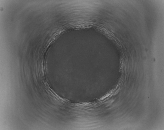 X0000072501202200607141121