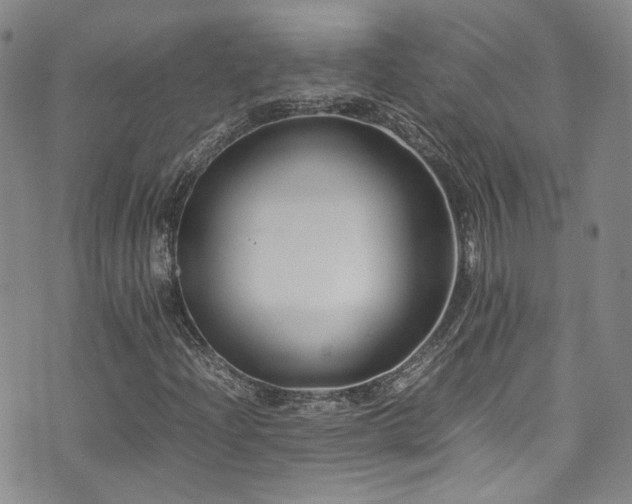 X0000072501204200607141121