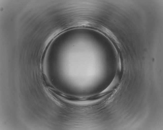 X0000072501234200607141121