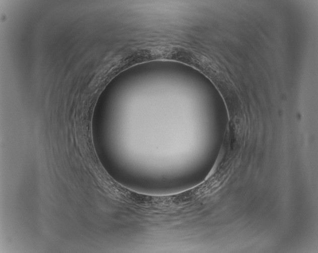 X0000072501249200607141121