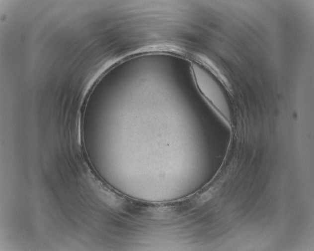 X0000072501276200607141120
