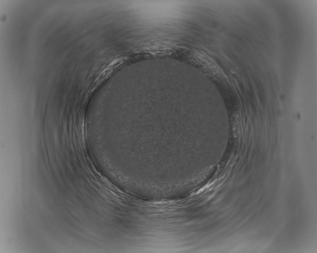 X0000072501298200607141119