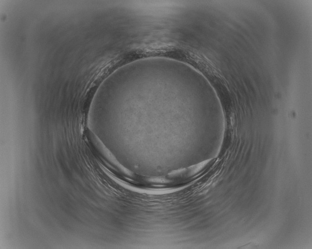 X0000072501300200607141119