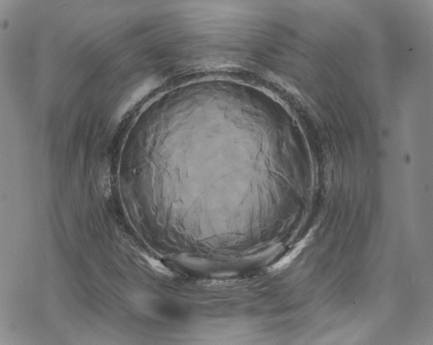 X0000072501306200607141119