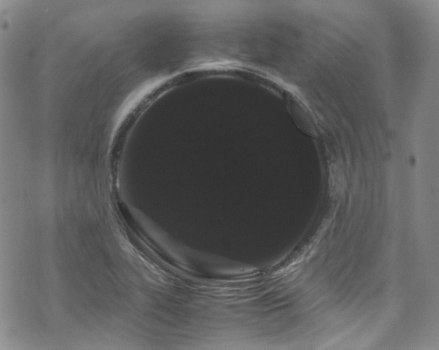 X0000072501319200607141120