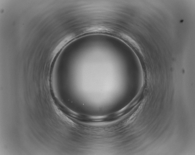 X0000072501330200607141120