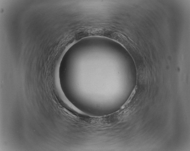 X0000072501345200607141119