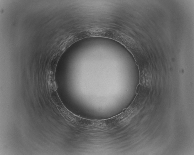 X0000072501346200607141119