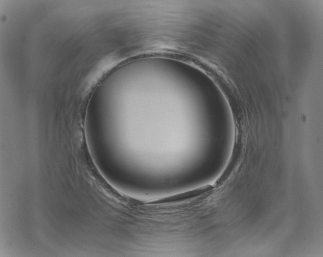 X0000072501363200607141119